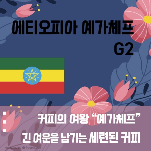 에티오피아 예가체프 G2_1Kg